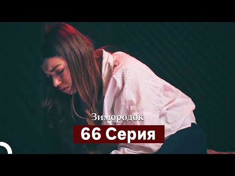Видео: Зимородок 66 Cерия (Русский дубляж)