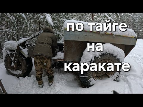 Видео: ГЛУХАРИ УЛЕТЕЛИ/СОБОЛЯ РАЗБЕЖАЛИСЬ/САМОДЕЛЬНЫЙ КАРАКАТ
