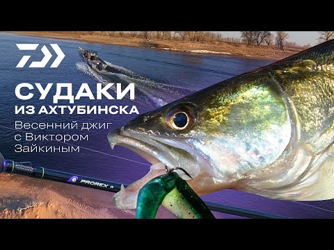 Видео: Судаки из Ахтубинска. Весенний джиг с Виктором Зайкиным