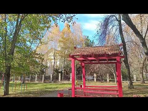 Видео: Золотая осень 3