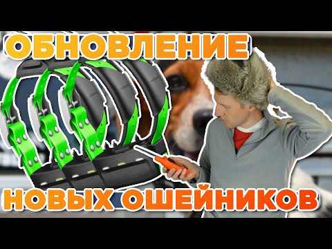 Видео: Как обновлять ошейники T5, T5x, T20, TT25?