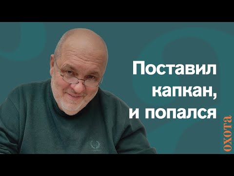 Видео: Ногозахватывающие капканы. Валерий Кузенков о том, каких животных можно ловить.