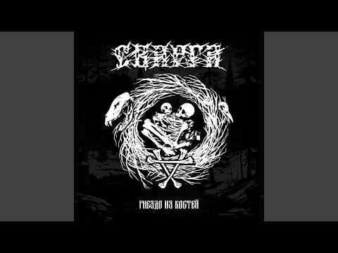 Видео: Гнездо из костей