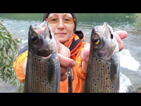 Видео: Поход на Озеро Тальмень с рыбалкой. Хариус Горного Алтая. Продолжение. Части 5 и 6