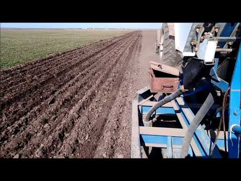 Видео: посев гороха СЗС 2.1 стерневой сеялкой 7.03.19