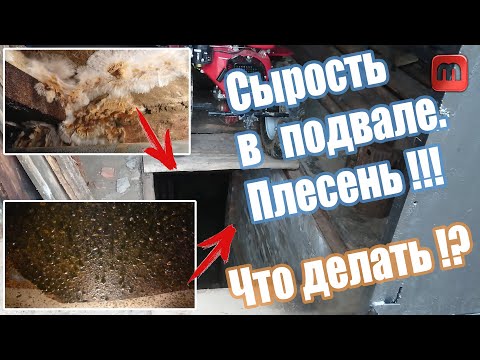 Видео: Сырость в подвале. Вентиляция