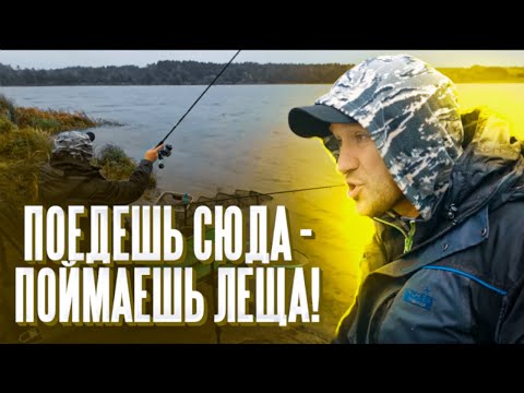 Видео: Поедешь сюда - поймаешь леща! Куда нужно ехать с фидером в ноябре, а куда - не стоит?