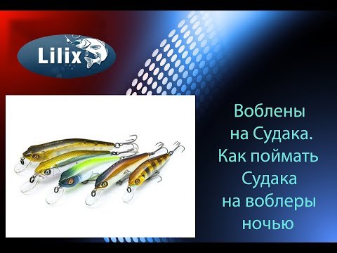 Видео: Воблеры на Судака. Как поймать Судака на воблеры ночью!