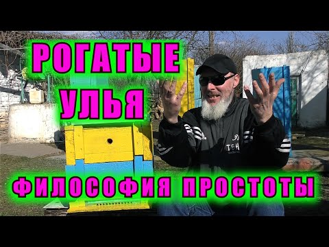 Видео: РОГАТЫЕ УЛЬЯ- ФИЛОСОФИЯ ПРОСТОТЫ.