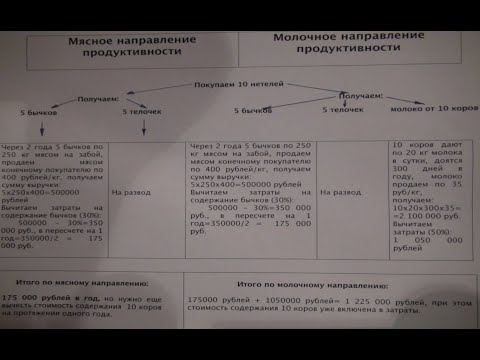 Видео: Мясное или молочное?  Сравниваем эффективность