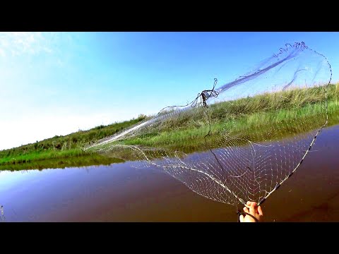 Видео: УДАЧНАЯ РЫБАЛКА НА КАСТИНГОВУЮ СЕТЬ/CASTING NET FISHING