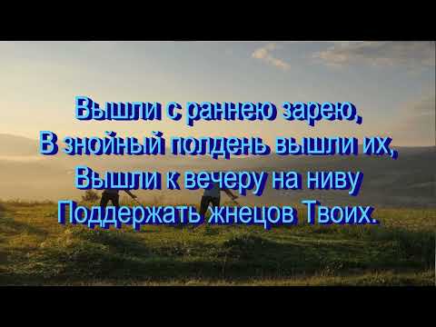 Видео: Здесь и там поля белеют,  общее пение 14.09.2025