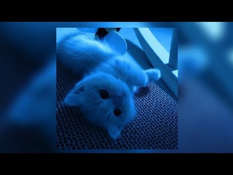 Видео: ♪Спокойная Музыка Чтобы Отдохнуть От Суеты♪