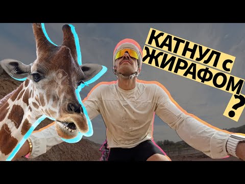 Видео: Отправился на остров Сир-Бани-Яс чтобы катнуть с жирафом