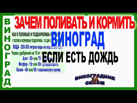 Видео: 🍇 Зачем поливать и подкармливать виноград? Когда нельзя поливать. Сроки первого полива и подкормки.