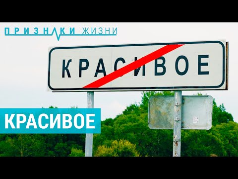 Видео: Красивое. Как живут люди в селе между Биробиджаном и границей Китая? | ПРИЗНАКИ ЖИЗНИ
