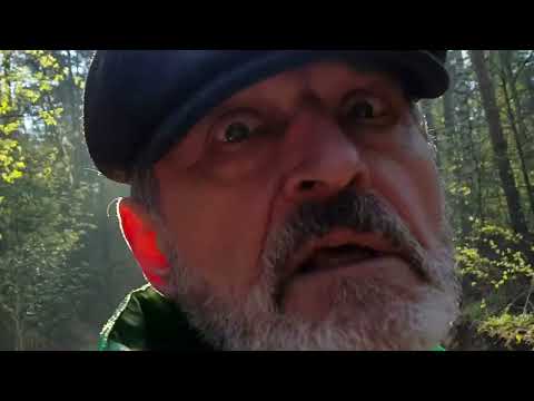 Видео: Томилинский лесопарк, Московская область_2023