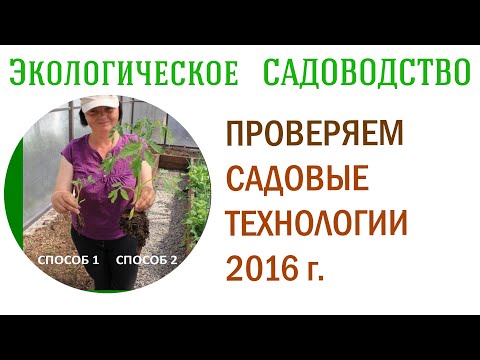 Видео: Проверяем садовые технологии, 2016 г. Видеолекция