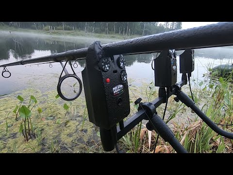 Видео: Пять ночей в New Gampshire, или как поймать дикого карпа в глухом коряжнике!