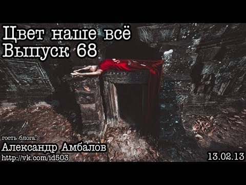 Видео: Цвет наше всё... Выпуск 68... Арт-фотография (by.Амбалов)
