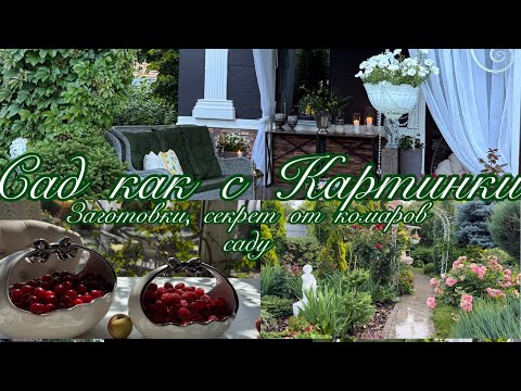 Видео: Сад как с картинки, заготовки , декор , мои секреты.