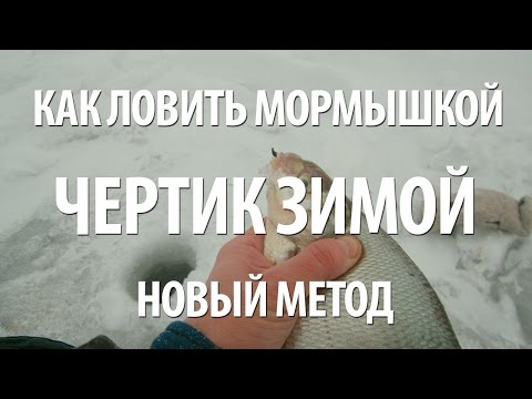 Видео: ЛОВЛЯ на ЧЕРТИКА ЗИМОЙ ПОДЛЕЩИКА