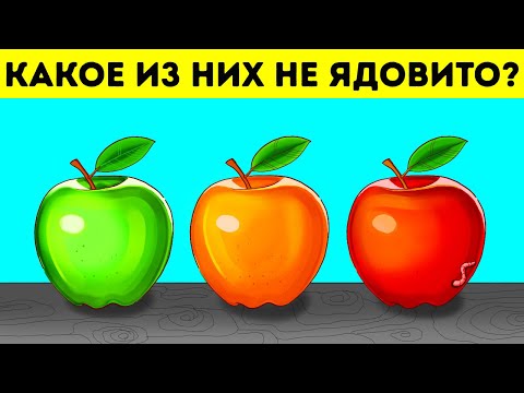 Видео: Марафон экстремальных загадок для самых умных