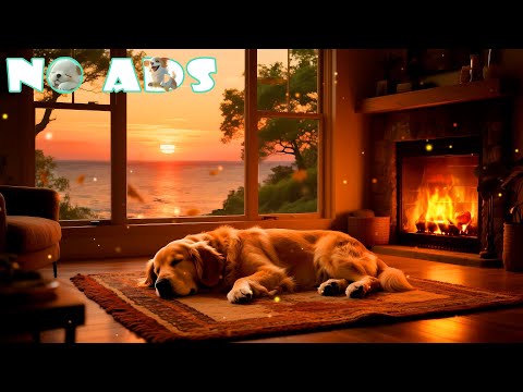 Видео: 🐶 3 часа лечебной музыки для собак 🌙 Успокаивающие мелодии для снятия стресса и тревоги | Звуки пр