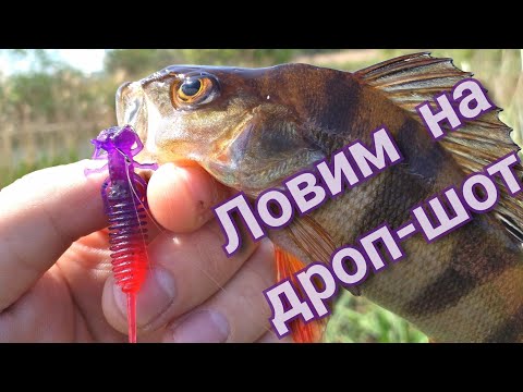 Видео: Окунь на дроп-шот