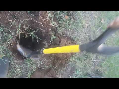 Видео: Копаем Металлоискателям Golden Mask 1