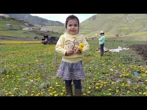 Видео: ВИДЕОЖУРНАЛ АШТЫ  2010 2023