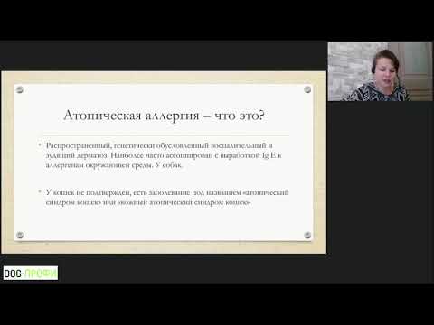 Видео: АТОПИЧЕСКИЙ ДЕРМАТИТ У СОБАК. ЧТО ВАЖНО ЗНАТЬ? Лектор - Куприянова Лидия Игоревна