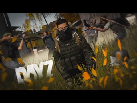 Видео: Я просто пытался выжить в DayZ
