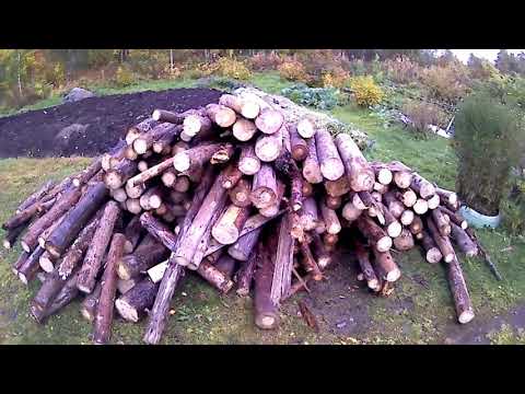 Видео: Заготовка, валежника.