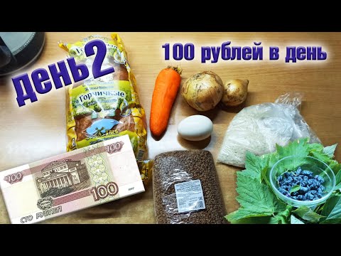 Видео: Выживаю неделю на 100 рублей в день. День 2.