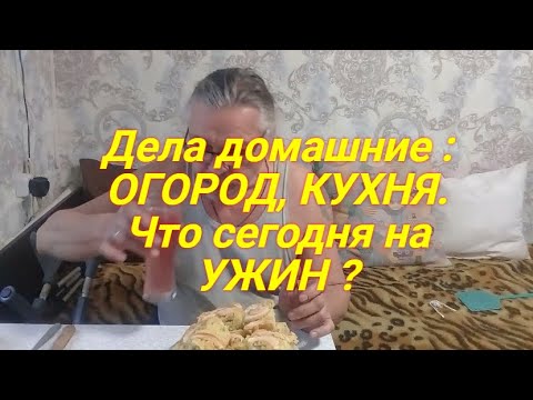 Видео: ЖИВЁМ в ДЕРЕВНЕ !  Жена накормила досыта, Что у нас на ужин.  Посадила чеснок на огороде