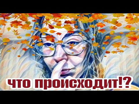 Видео: Диана ВонХ накануне грандиозного шухера.Серьезные изменения в трех семьях.