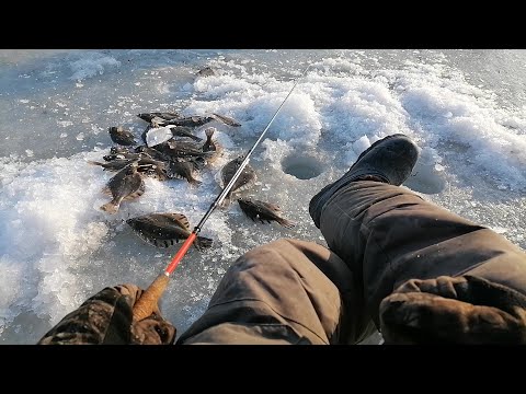 Видео: Ловим КАПРИЗНУЮ камбалу. Рыбалка на КАМБАЛУ пешком. Зимняя рыбалка в НЕПОГОДУ. Рыбалка в Тавричанке.