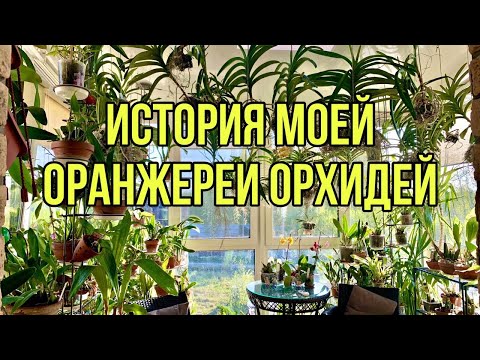 Видео: История моей оранжереи орхидей