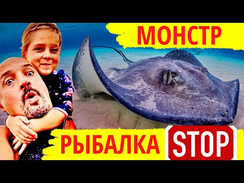 Видео: Огромный скат под водой прямо в марине. Гигантский Морской Дьявол ест с рук. Рыбалка отменяется.