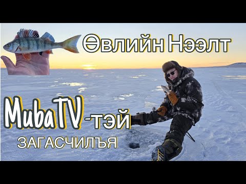 Видео: БАРАГ Л ЦАЙРАВ🎣Mөба-тай загасчилъя /Өвлийн Нээлт/ [Ice fishing in Mongolia, Perch fishing]