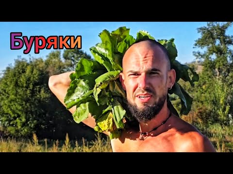 Видео: Сімейний Блог з Телефону - випуск 26