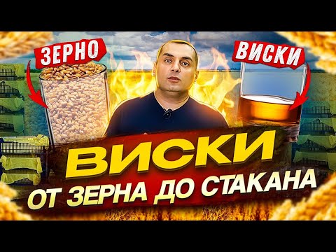 Видео: ВИСКИ - от ЗЕРНА до СТАКАНА! (ПРОДОЛЖЕНИЕ ЭКСПЕРИМЕНТА)