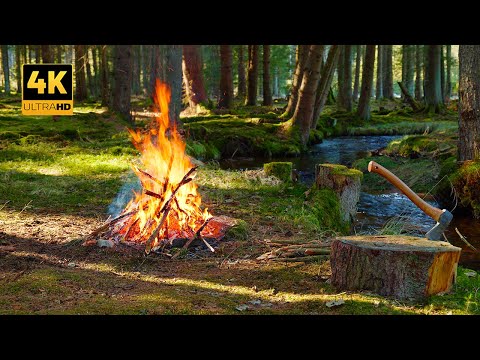 Видео: 4K 📺 Лесной костер у ручья - Успокаивающие звуки природы