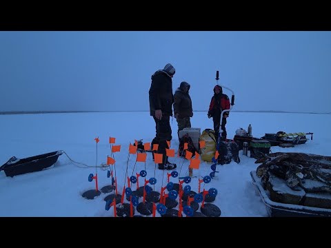 Видео: С ОСЕНИ В ЗИМУ, ПЕРВЫЙ ЛЁД 2024-25! ЗАБРОСКА НА ЛЁД С ВОИМ ХОДОМ \ ЖЕРЛИЦЫ НА ЩУКУ, УТРЕННИЙ ВЫХОД !