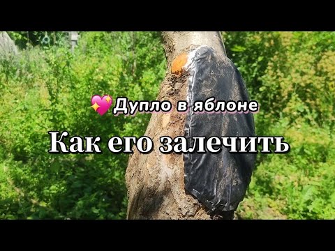 Видео: ЛЕЧУ ДУПЛО БЕЗ ЦЕМЕНТА И МОНТАЖНОЙ ПЕНЫ