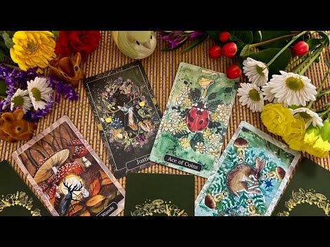 Видео: Анималистическая колода «Spirits of the Woodland Tarot»🍄🐿️🍄‍🟫🦔🍄 Обзор колоды Таро.