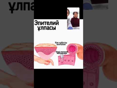 Видео: Ұлпа