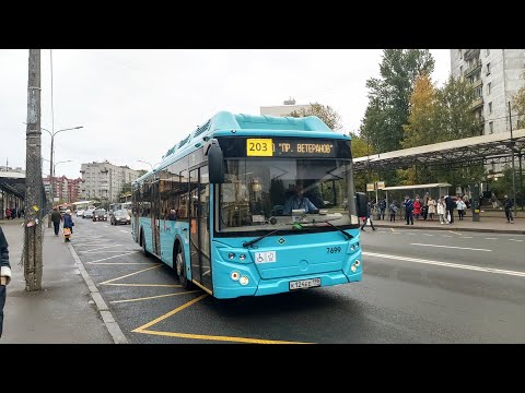 Видео: Автобус, маршрут №203 ЛиАЗ-5292.67 б.7699 (06.10.2022) Санкт-Петербург