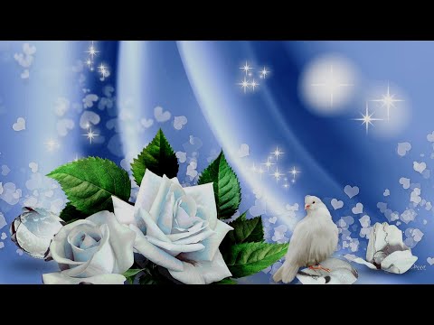 Видео: СЕРДЦЕ ГОЛУБЕМ